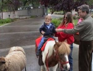 Pony Rides by Nancy & Petting Zoo