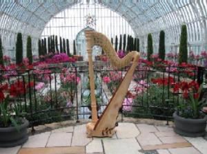 Harpist Serena O'Meara - La Crosse