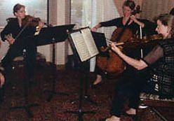 Orlando Violin & Wedding Music