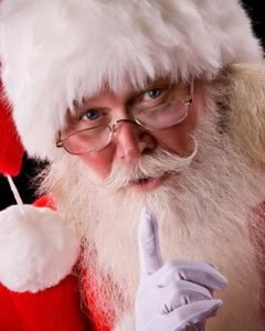 The Best Santa Claus Co.