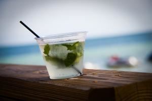 Megan Ellis, Photographer