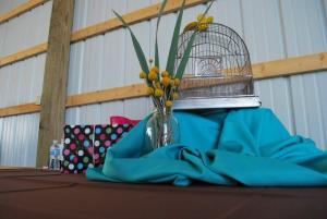 DIY Equipment & Party Rentals