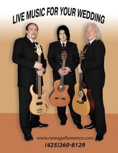 New Age Flamenco