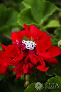 Festa Photography LLC