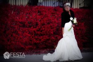 Festa Photography LLC