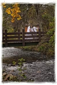 Bookwalter Photographics