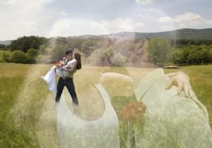 Bookwalter Photographics