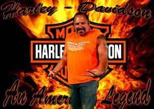 Frozen For Life Photography