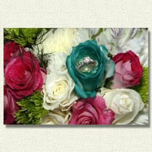 Marshall Photography