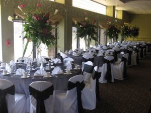 Classy Covers...Chair & Table Dressups