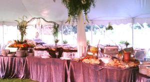 Action Catering Memphis / Panini Catering & JAVA COAST Espresso, Smoothie & Milkshake Bar Catering