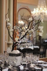 Kristina Taheri Special Events