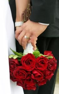 Wendy McAlpine Photographer