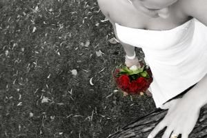 Wendy McAlpine Photographer