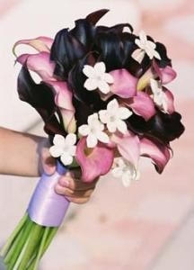 Platinum Wedding Consultants