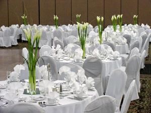 Platinum Wedding Consultants