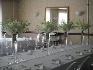 Brown Eyed Susan's Flowers