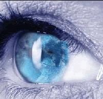 Hypno Lorenzo's Comedy Hypnosis Shows - Hartford