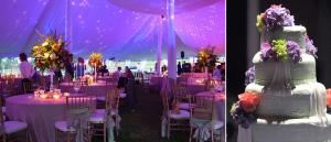 Fusion Bollywood INC