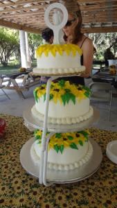 Paralegal to the Rescue