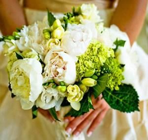 Amy McLaughlin Lifestyles