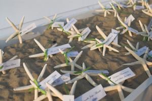 Amy McLaughlin Lifestyles