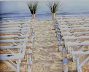 Amy McLaughlin Lifestyles