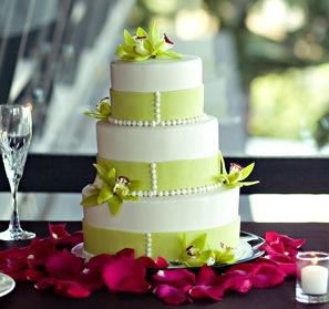 Amy McLaughlin Lifestyles