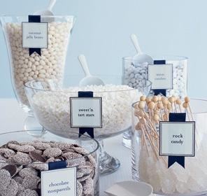 Amy McLaughlin Lifestyles