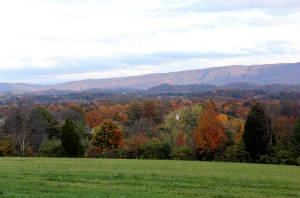 Colonial Estate Weddings