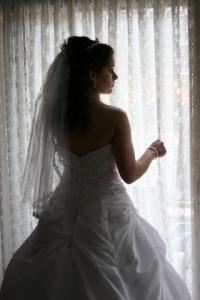 David M. Bellen Photography & Video