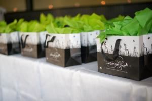 Absolute Wedding Perfection