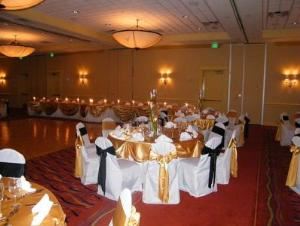 Cherished Ceremonies Weddings