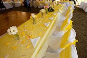 Cherished Ceremonies Weddings