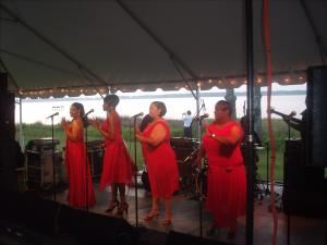 Johnny White & The Elite Band