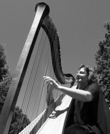 Triangle Entertainment Agency