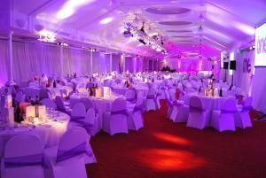 Elevated Audio Productions