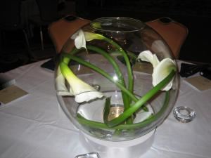 Avant- Garde William & Company Floral Design Studio - Tucson
