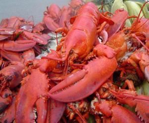 Cathy's Lobster Bake