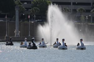 Eventrics - Corporate/Social Events - Tampa