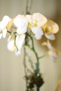 Teri Lyn Photography - Marietta