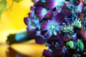 Teri Lyn Photography - Marietta