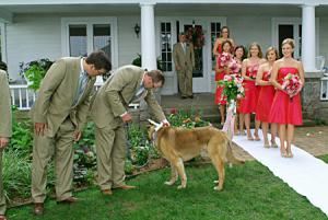 John Gilroy Photography