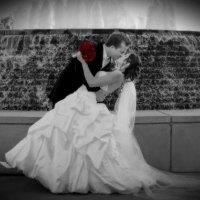 Bridal Showplace Bridal Shows