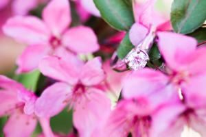 Jerry Wang Photography