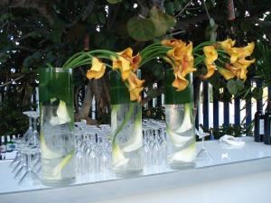 Equilibrium Events Inc