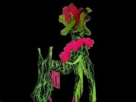 Cirque Kalandra Productions