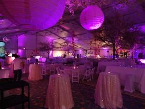 PTE Productions - Special Events