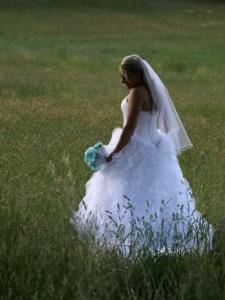 Picture Perfect Photography