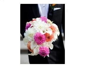 Mikcos Party Rentals